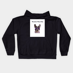 Pawsitive Vibes Only Kids Hoodie